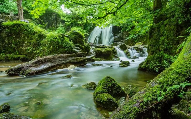 精密可靠性